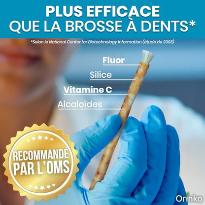 ARAKIA Siwak Naturel Brosses à Dents x3