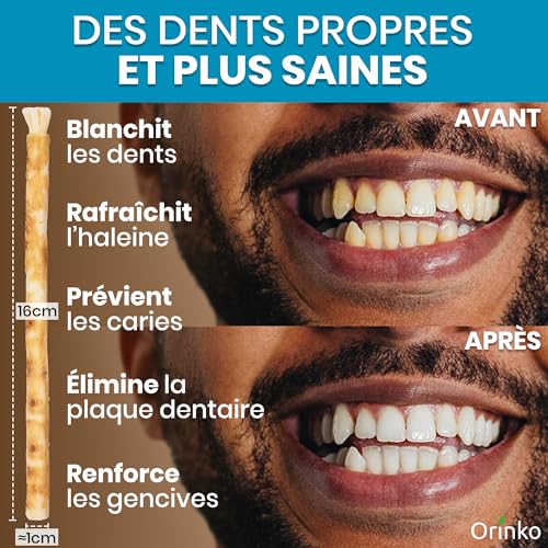 ARAKIA Siwak Naturel Brosses à Dents x3