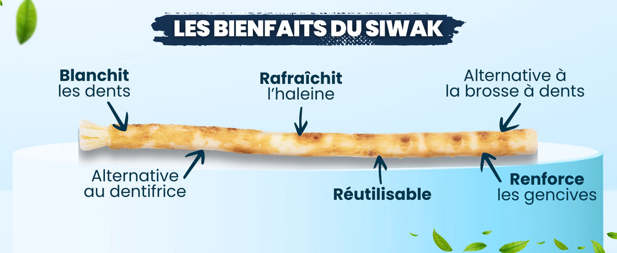 ARAKIA Siwak Naturel Brosses à Dents x3