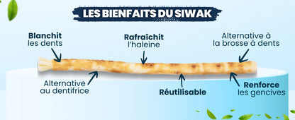 ARAKIA Siwak Naturel Brosses à Dents x3