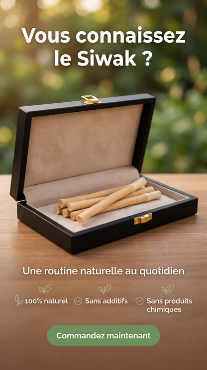 ARAKIA Siwak Naturel Brosses à Dents x3